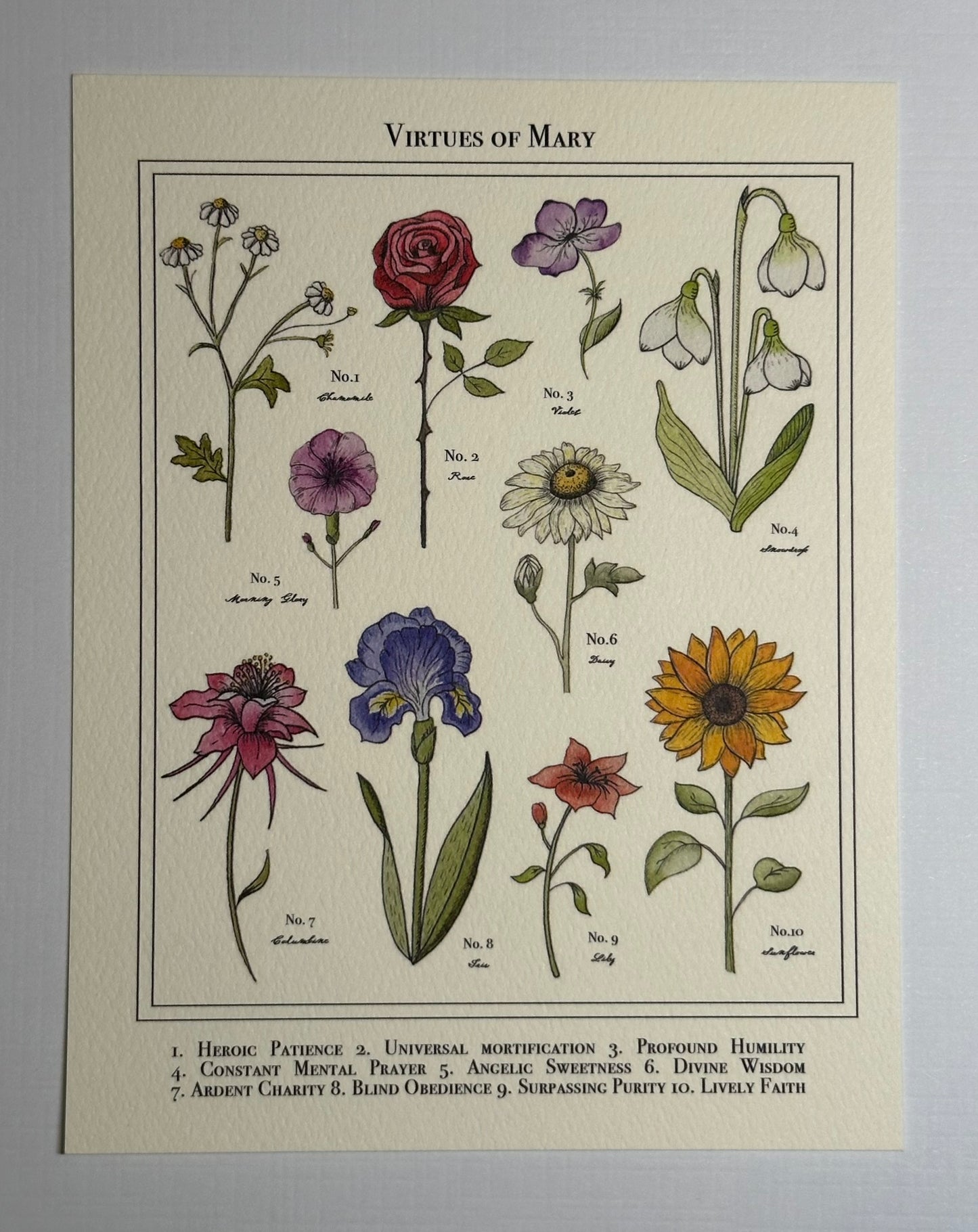 Postcard: Virtues of the Mother of God (Fiat Floral)
